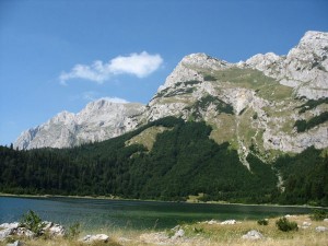 maglic