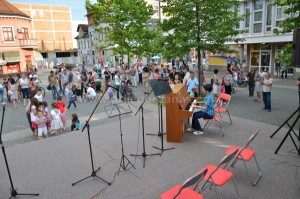 svjetski dan muzike (5)