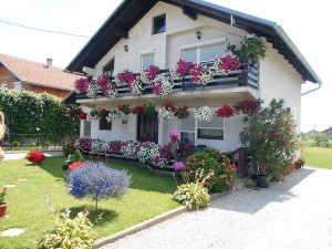 uredi svoj vrt-najbolji (3)