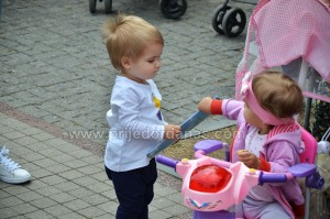 vesela palacinka (7)