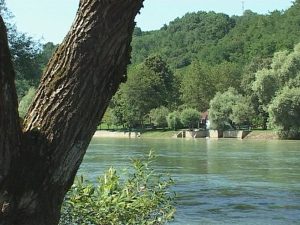 beverli hils na sani (2)