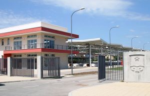 srna-nova pijaca (1)