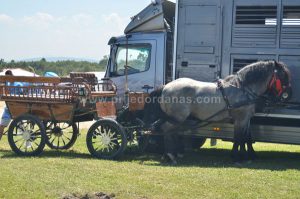 straparijada omarska 2016 (2)