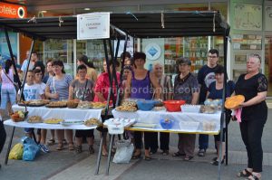 vece domace kuhinje 2016 (7)