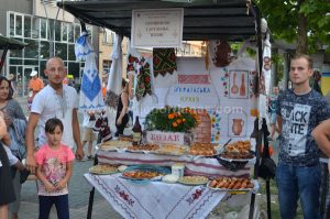 vece domace kuhinje 2016 (8)