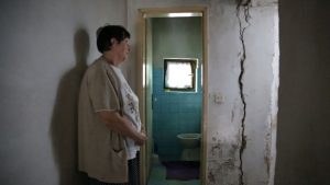 anadolija-jelka vasiljcenko (3)