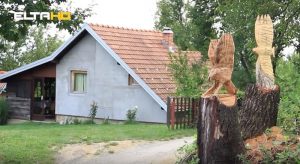 eltatv-mladen stakic (5)