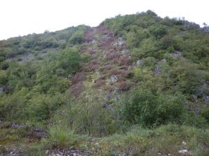 koalicija za sanu-dalekovod-medna (2)