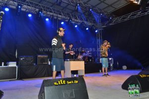 nektar evergreen fest-2vece (11)