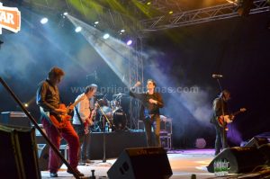 nektar evergreen fest-2vece (7)