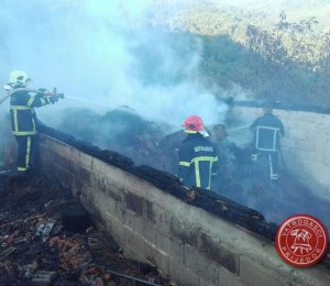 tvjpd-pozar stala lamovita berici (1)
