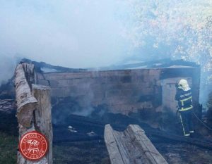 tvjpd-pozar stala lamovita berici (3)