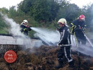 tvjpd-pozar stala lamovita berici (5)
