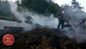 tvjpd-pozar stala lamovita berici (9)