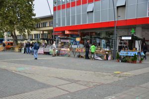 dani-meda-2016-pocetak-3