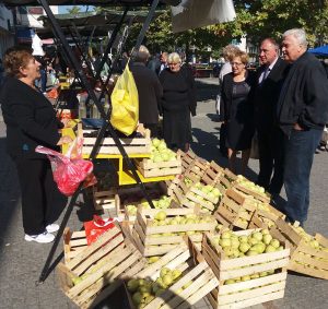 srna-dani-voca-i-vocnih-rakija-1