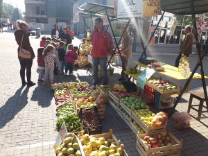 srna-dani-voca-i-vocnih-rakija-4