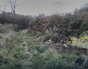 blic-zmija-cirkin-polje-4