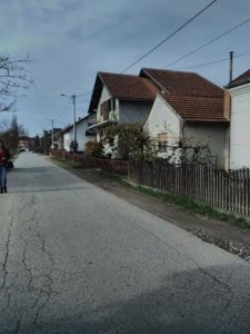 blic-zmija-cirkin-polje-5