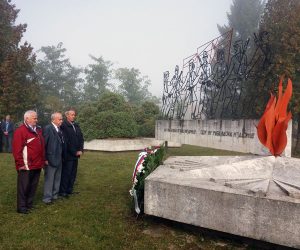 srna-puharine-pomen-1