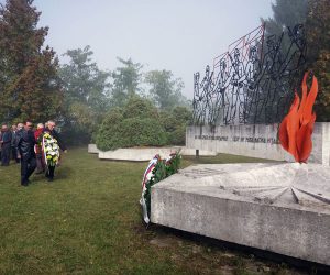 srna-puharine-pomen-2