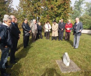 srna-puharine-pomen-3