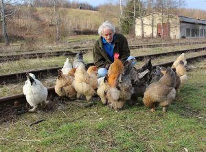 ahmet-residovic-lude-fotografije-2