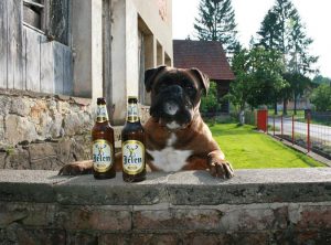 ahmet-residovic-lude-fotografije-6