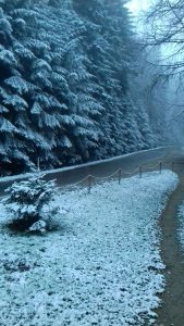 kozara-prvi-snijeg-9novembar-6