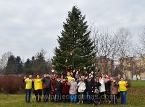 don-neven-kicenje-jelke-1