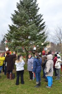 don-neven-kicenje-jelke-8