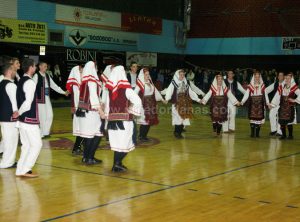 humanitarni-koncert-za-nikolinu-4