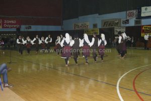 humanitarni-koncert-za-nikolinu-9