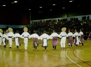koncert-za-nikolinu-puna-dvorana