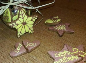 kreativci-za-nikolinu-3