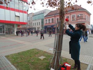 performans-elma-selman-2