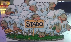 stado-u-kinu-kozara-4