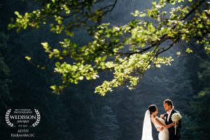 alvin harambasic-wedisson award (1)