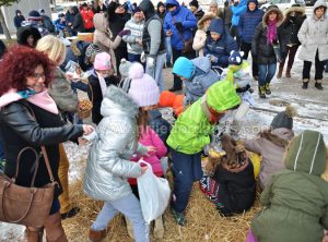 centralni-badnjak-2016-5