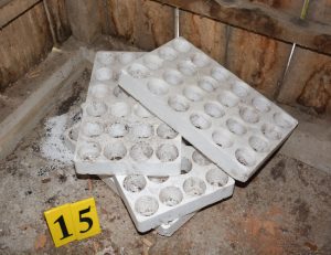 cjbpd-laboratorija-marihuana (2)