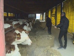 rtrs-braca-baltic-trnopolje