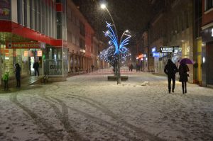 setnja-snijeg-13januar-vece (10)