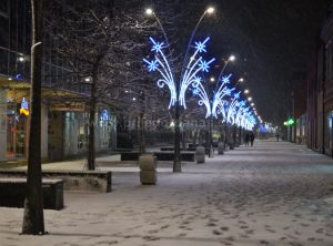 setnja-snijeg-13januar-vece (2)