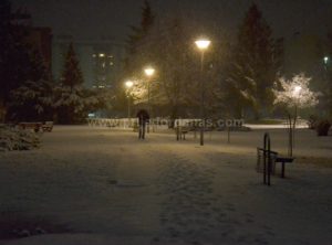 setnja-snijeg-13januar-vece (5)