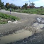 Društvo