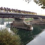 Društvo