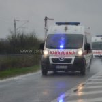 Društvo