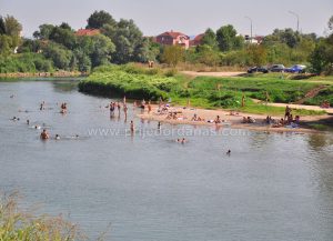Društvo