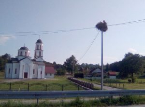 Ljubimci sela Rasavci kod Prijedora na svijet donijeli ptiće