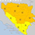 Društvo